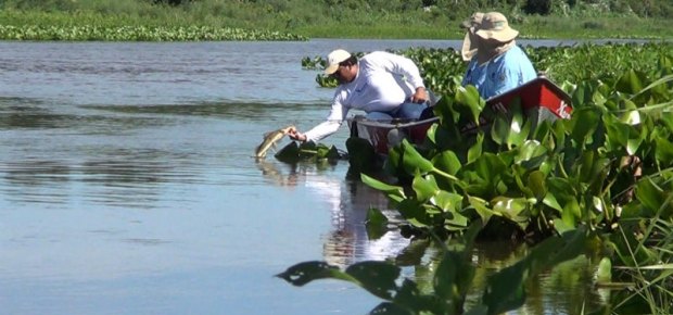 PACOTES DE PESCA PANTANAL PACOTES DE PESCA PANTANAL