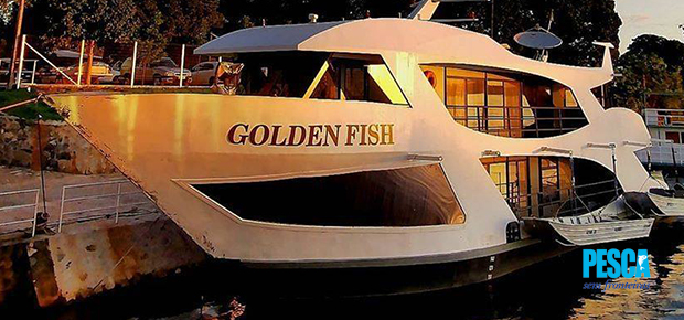 Barco Golden Fish Barco Golden Fish